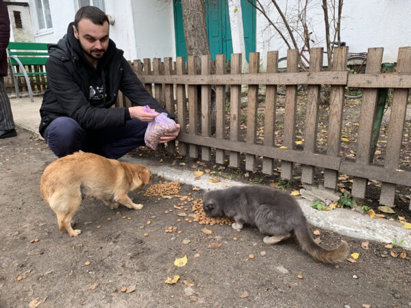 Distribution-Alimentation-Chiens-Chats-600x450